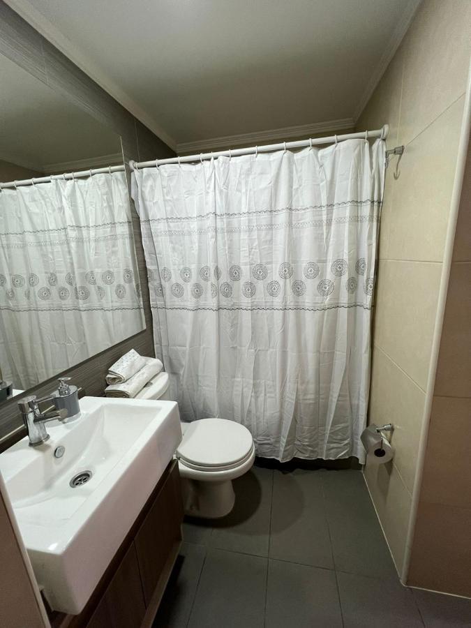 Comodo Y Centrico Departamento Apartamento Santiago